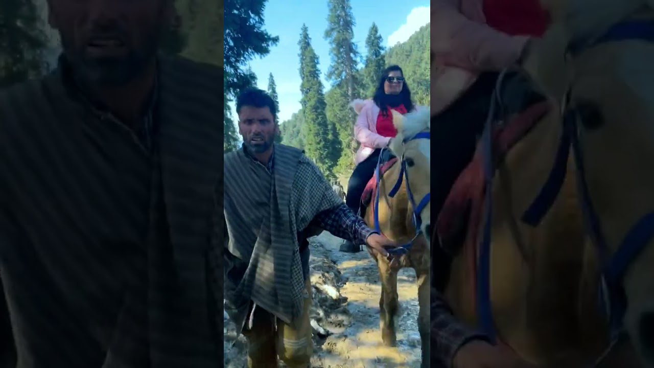 Should you take Pony ride to reach Baisaran Valley in Pahalgam, Kashmir?? #shorts #ytshorts