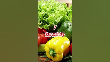 10 Loại Rau Người Bị Đau Dạ Dày Nên Ăn #dinhduong #songkhoe #nguyenthethanh