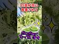 家庭菜園や農園の白菜栽培で害虫被害にあった白菜を菜花に!害虫撃退後、冬越しさせて菜花を収穫する白菜の育て方!【農家直伝】#shorts