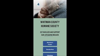 HumaneSociety_YouTube_1