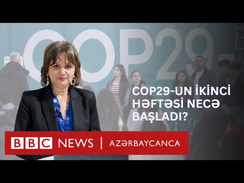 COP29-un ikinci həftəsi necə başladı? - təhlil