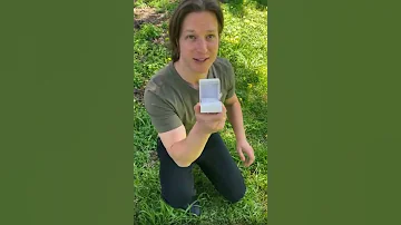סירטון של אליאנה תדהר ולי בירן לי בירן מציע לאליאנה לבוא איתו להופעה 