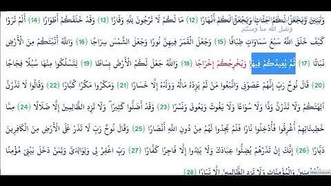 سورة نوح للقارئ الشيخ ماجد الحازمي حفظه الله