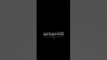 الله نور السماوات والأرض | #كرومات_قرآن للقارئ محمد اللحيدان.