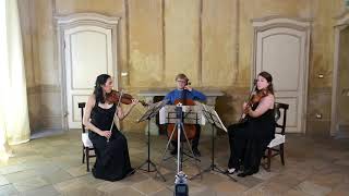 LUDWIG VAN BEETHOVEN  Streichtrio op.9 n.3 by Trio Quodlibet 1,794 views 4 years ago 25 minutes