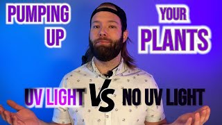 Growing Plants With UV vs No UV Light & the Effects on Yield and Potency