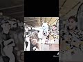 أول ماسحبت حزامي