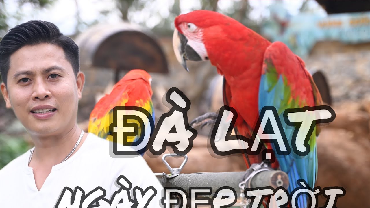 Khám Phá ĐÀ LẠT