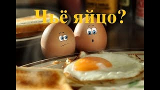 Загадка, чьё яйцо