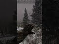 granáta tu | #zuzu83 v #Twitch #escapefromtarkov #twitchstreamer #twitchclips #sherpa #egirl #tarkov