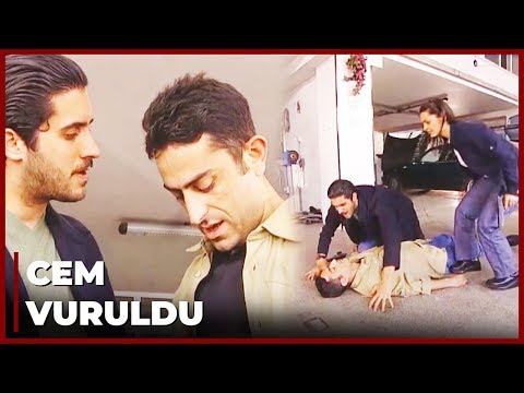 Cem Çatışmada Yaralandı | Yılan Hikayesi 29.Bölüm