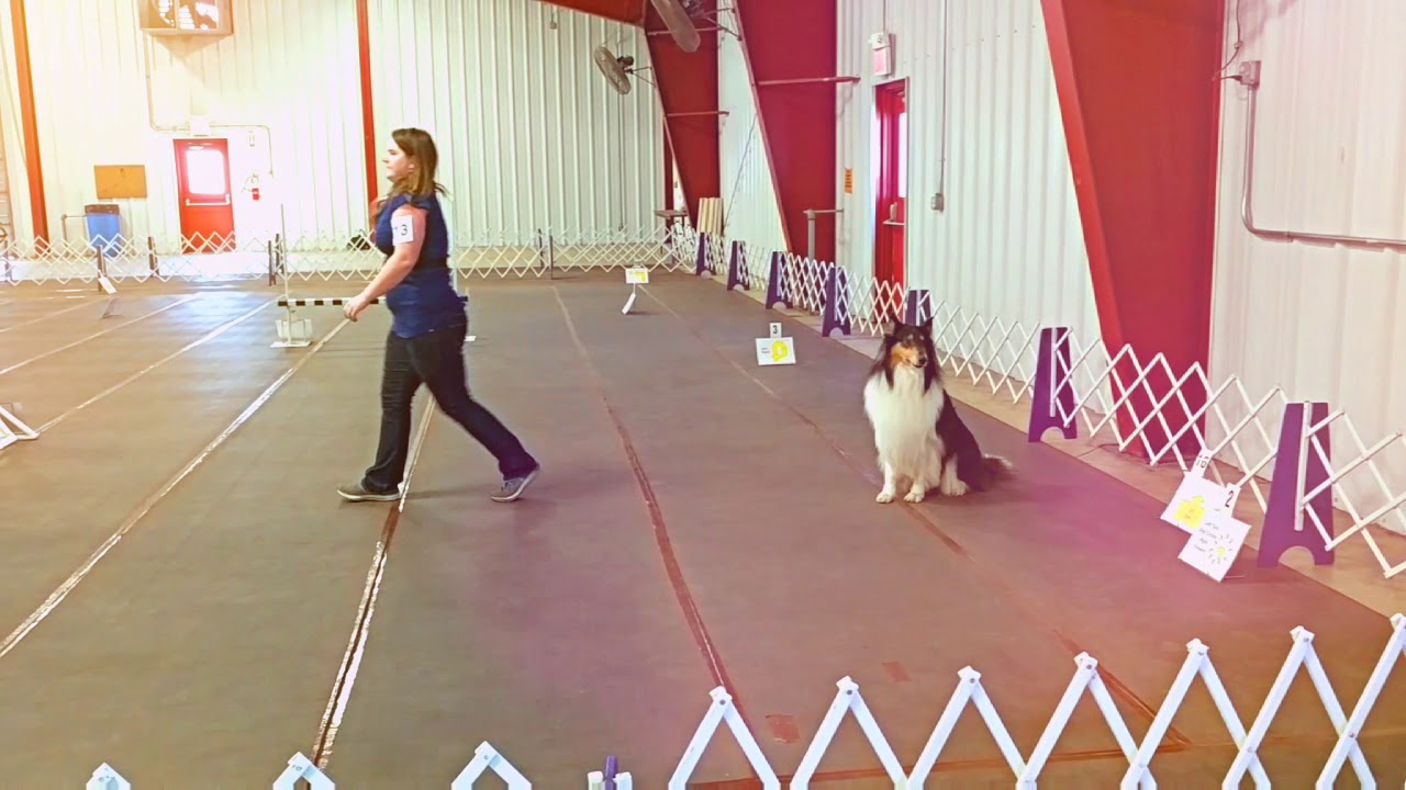 R-N-D Apollo of Saul RAE 5,6 and 7 - YouTube