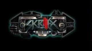 SKRILLEX- Boss Boys