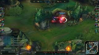 Kayn Q bug