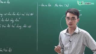 Vật lý 6 - Bài 6: Trọng lực - Đơn vị lực - Thầy Nguyễn Thành Long - Vinastudy.vn