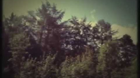 Sprinters - Last Song (Official Video)