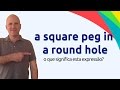A Square Peg in a Round Hole vs A Fish Out of Water - Brooks Gillespie