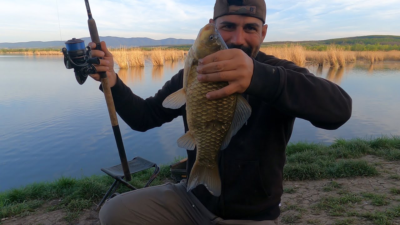 Concurs de pescuit la caras(cine prinde primul 10 bucăți). Am prins carasi imenși la method