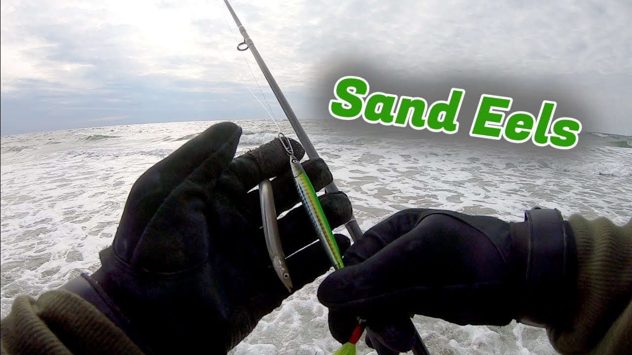 Late Fall Run SAND EEL Bite! - Striped Bass & SURPRISE CATCH! - Long Island  NY 