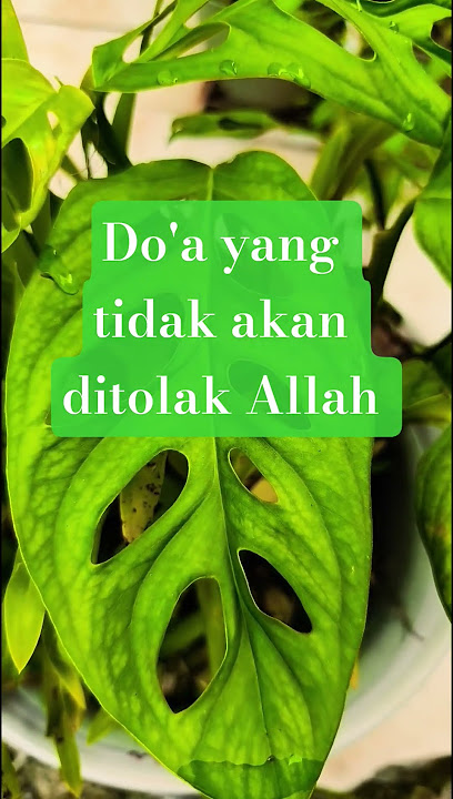 Do'a yang tidak akan ditolak Allah