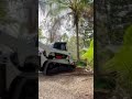 Tree shear BI300 OMEF on skid steer Bobact and excavator: felling palms