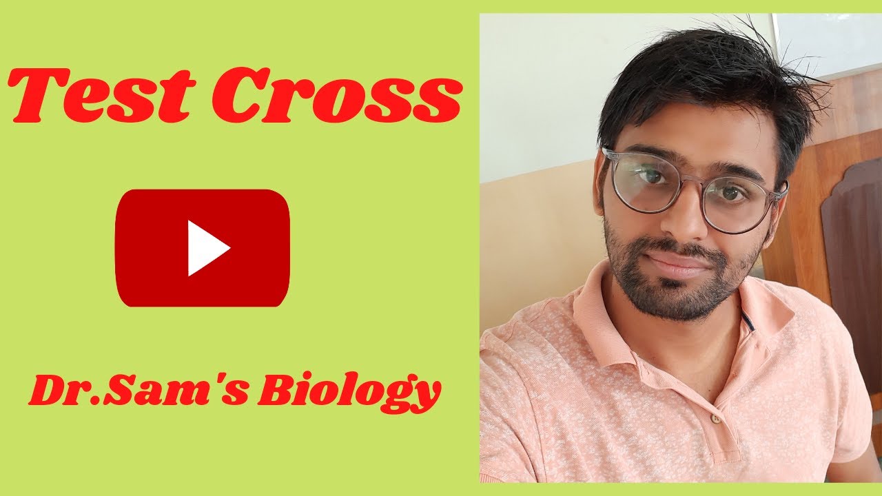 Test Cross (Genetics) - YouTube
