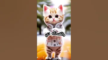 نغم يا قمر اغنيه باسم نغم 
