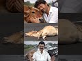 உயிரை எடுத்த திமுக நிர்வாகி #tvk #tvkitwing #tvkvijay #news #dmknews #vijay #dmk