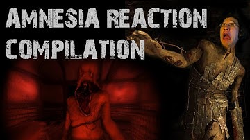 Amnesia Reaction Compilation