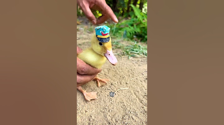 The high jump was successfully passed, the little yellow duck is so happy, hahaha. ,Little Duck