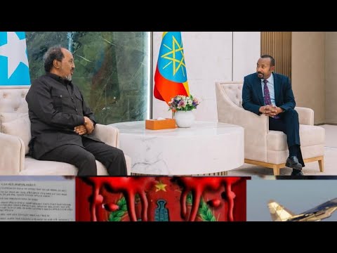 የሶማሊያ ፕሬዝዳንት በአዲስ አበባ የህወሓት የጦርነት ዝግጅት የእስራኤል ጋዛ የሰላም ኮንፈረንስ የፓኪስታን እና አፍጋኒስታን ግጭት Assab
