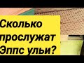 Корпуса Эппс которым 5 лет, по просьбе подписчика 👍