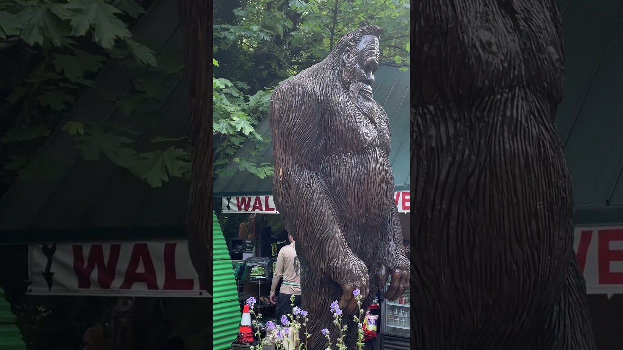 Black Coffee & Music Combo for Chilly Mornings ☕❄️ 