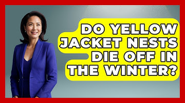 Do Yellow Jacket Nests Die Off In The Winter? - Insects and Invaders