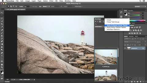 Photoshop CC Essential (43/154) " Custom Mini Bridge"