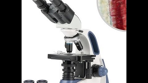 Microscopes for beginners- Unboxing a Swift SW380B