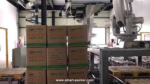 Automatic carton box robot hand sorting palletizing machine box stacking palletizer line