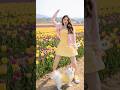 유채꽃밭에서 강아지랑 댄스♡ #dance #댄싱 #kpop #댄싱퀸 #ai댄스 ##스트릿댄스 #streetdance #shorts