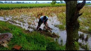 Story wa laki-laki pekerja keras