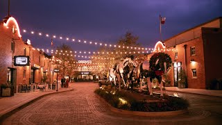 10 Best Tourist Attractions in Fort Worth, Texas