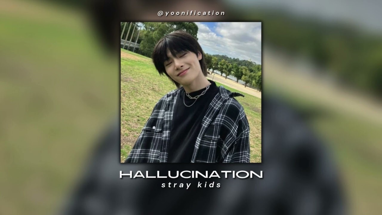 skz (i.n) - hallucination (sped up)