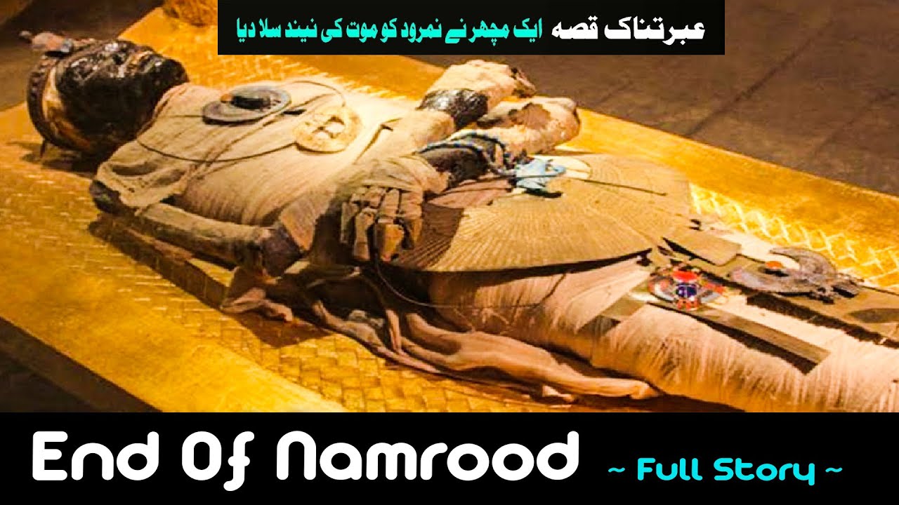 Qora lezbiyen porno video onlayn Anusdagi keksa odamlar hd