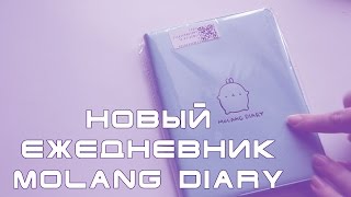 Как я веду ежедневник. Новый Molang Diary 2016