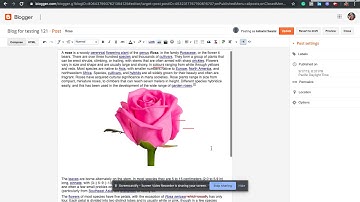How to add/insert image and video into a blogger post.