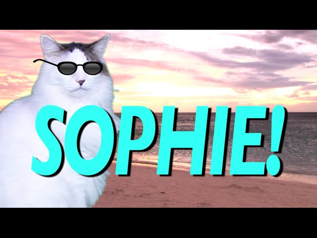 HAPPY BIRTHDAY SOPHIE! - EPIC CAT Happy Birthday Song
