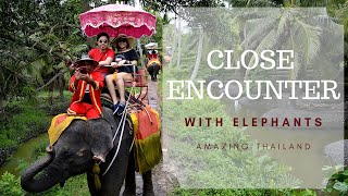 Amazing Thailand (Part 2) June 2017