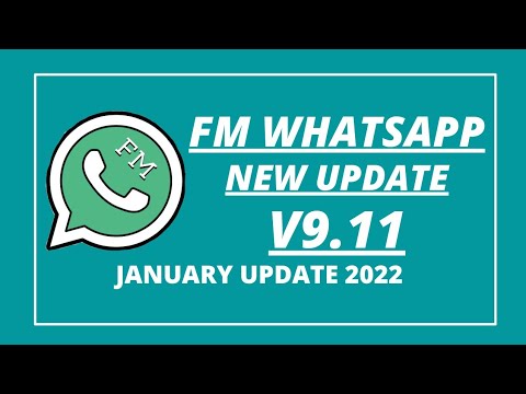 Fm whatsapp update