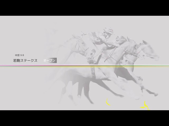 悪徳公式八百長競馬