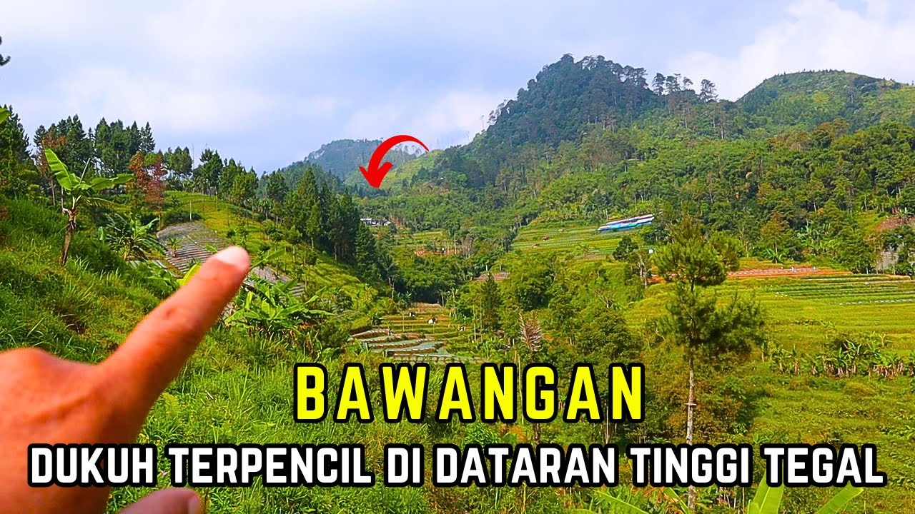 Suasana Pagi hari Dukuh Terpencil di Dataran Tinggi Tegal / Bawangan Bumi jawa Pedesaan Jawa Tengah