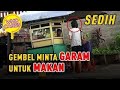 GEMBEL MINTA GARAM UNTUK MAKAN SAMA NASI | Social Experiment